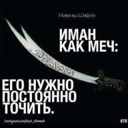 Момин Момин